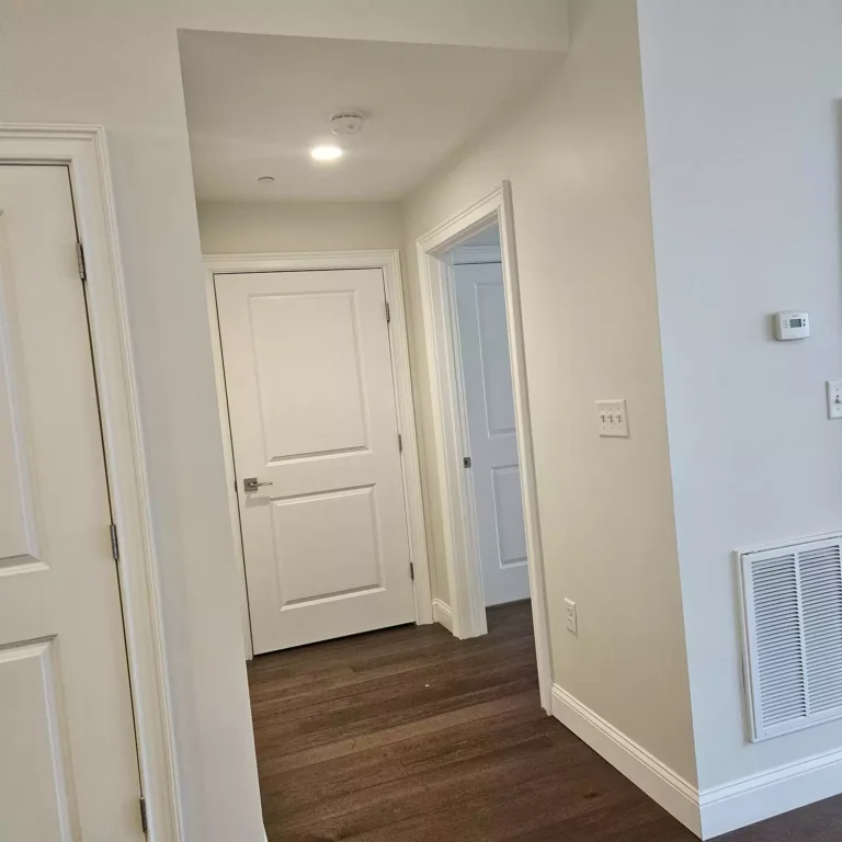 What Causes Orange Peel in Paint