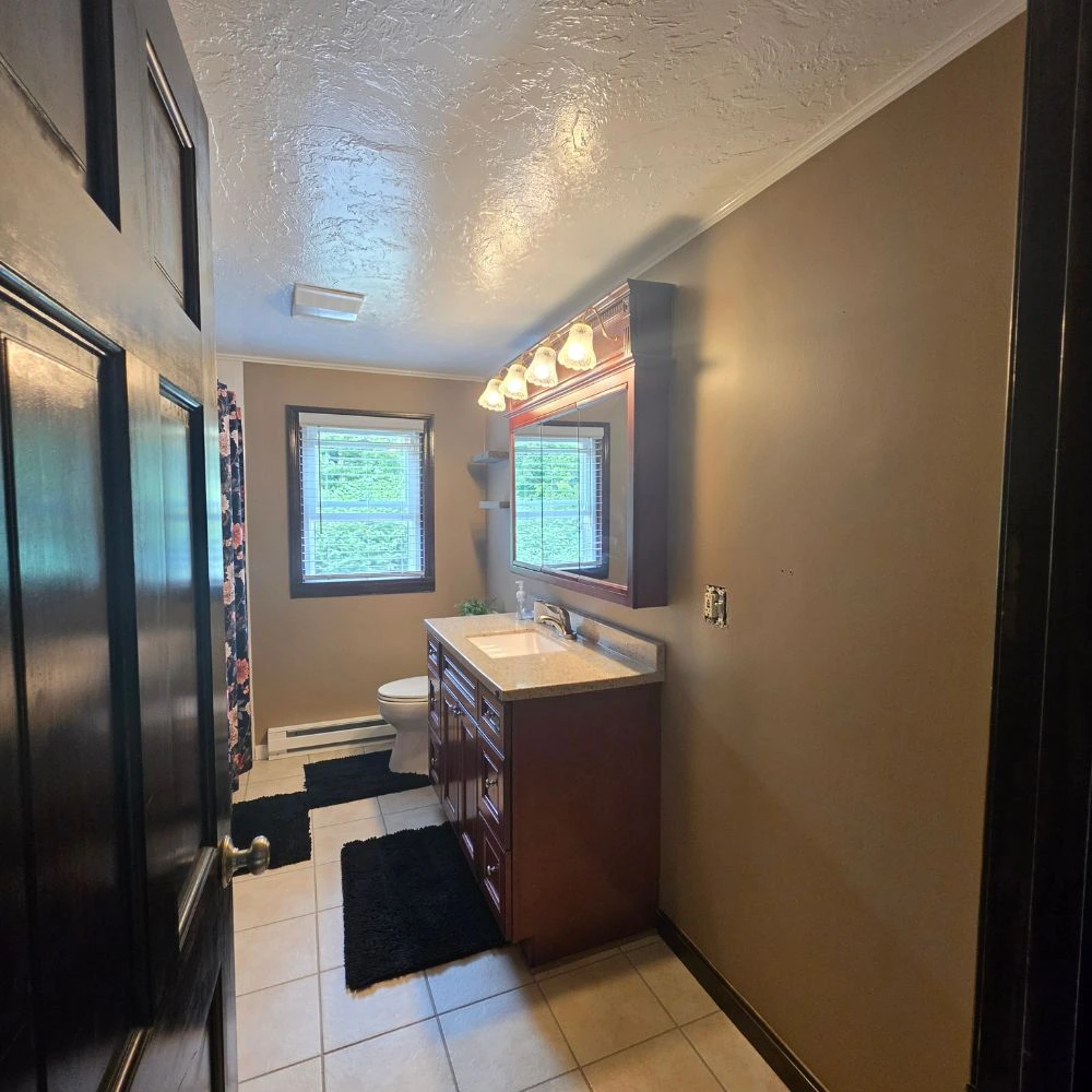 How to Remove Mold From Bathroom Ceiling