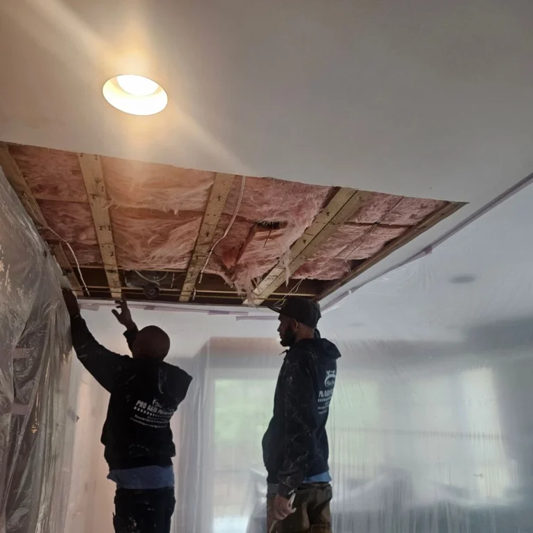 Light Carpentry Work